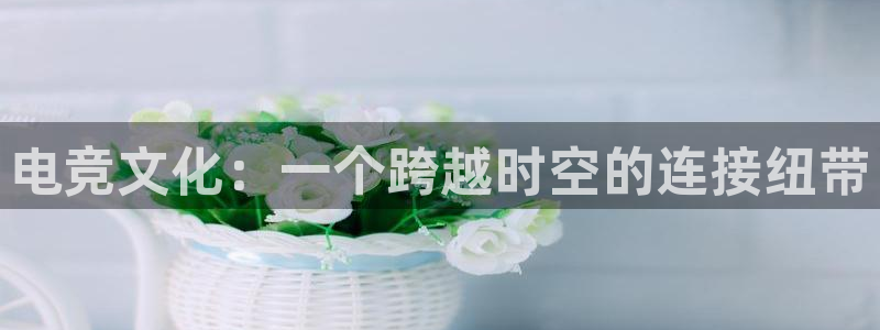 雷火电竞网页登录口下载：电竞文化：一个跨越时空的连接纽带