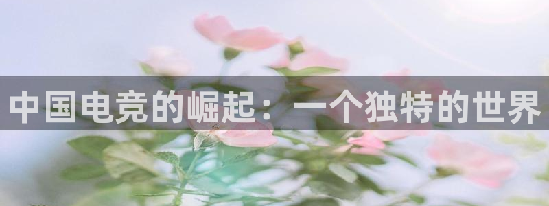 雷火电竞亚洲官网：中国电竞的崛起：一个独特的世界