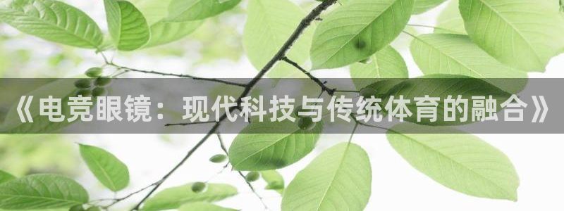 雷火电竞提款多久能到：《电竞眼镜：现代科技与传统体育的融合》