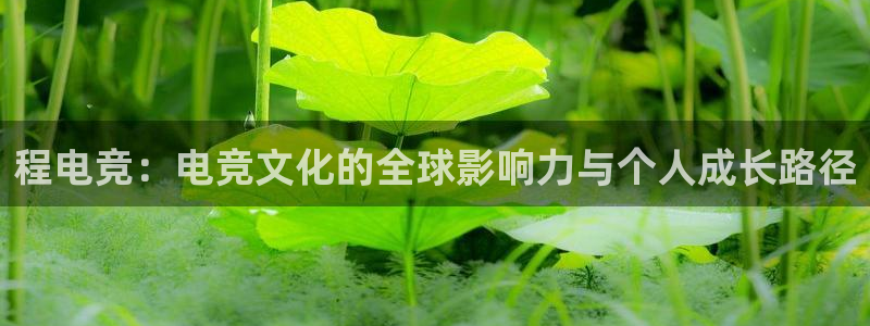 e8125雷火电竞：程电竞：电竞文化的全球影响力与个人成长路径