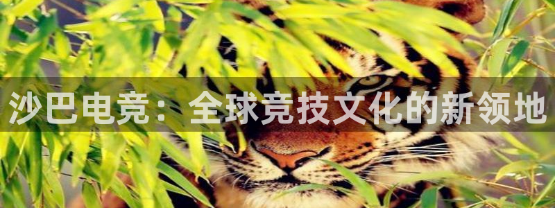雷火电竞官网app下载：沙巴电竞：全球竞技文化的新领地