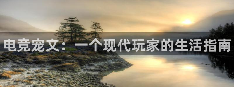 雷火电竞链接