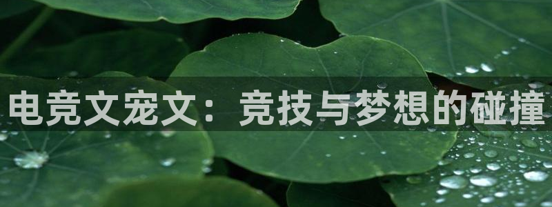 雷火电竞竞猜app：电竞文宠文：竞技与梦想的碰撞