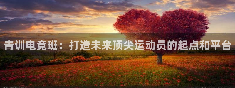雷火电竞下载：青训电竞班：打造未来顶尖运动员的起点和平台