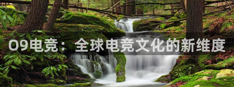 雷火电竞是干什么的：O9电竞：全球电竞文化的新维度