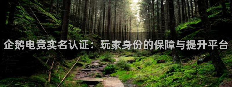 雷火电竞合法吗：企鹅电竞实名认证：玩家身份的保障与提升平台