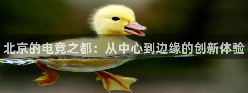 雷火电竞登陆：北京的电竞之都：从中心到边缘的创新体验