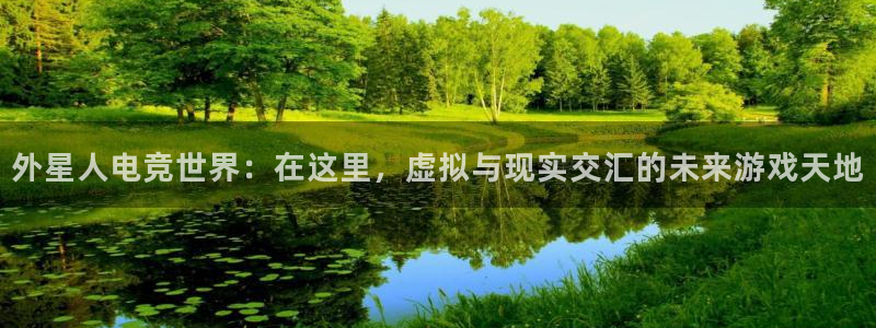 雷火电竞充值：外星人电竞世界：在这里，虚拟与现实交汇的未来游戏天地