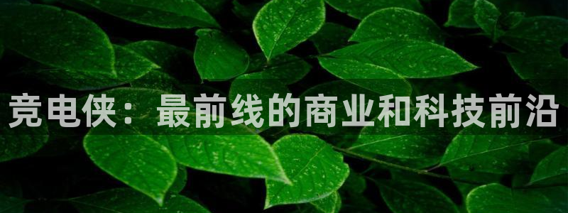 雷火电竞下载：竞电侠：最前线的商业和科技前沿