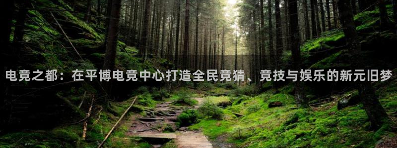 雷火电竞赛事平台：电竞之都：在平博电竞中心打造全民竞猜、竞技与娱乐的新元旧梦
