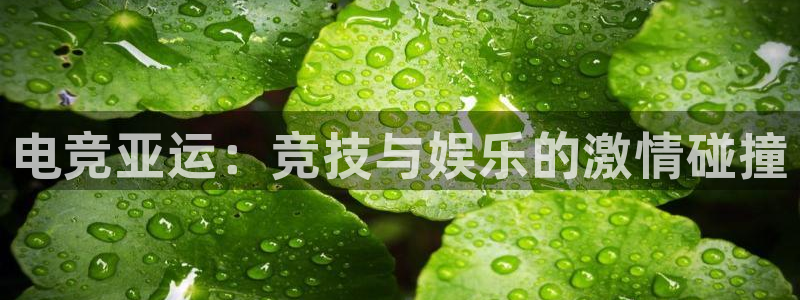 雷火电竞充值：电竞亚运：竞技与娱乐的激情碰撞