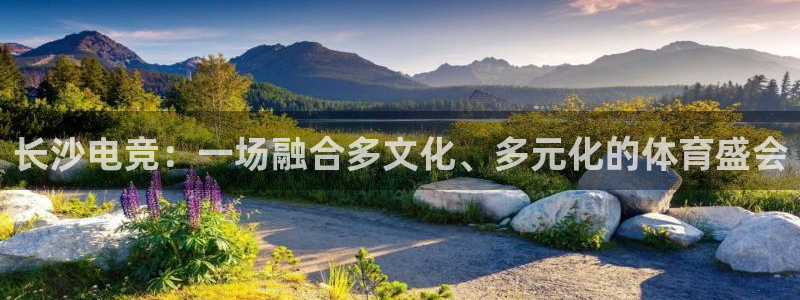 雷火电竞首页：长沙电竞：一场融合多文化、多元化的体育盛会