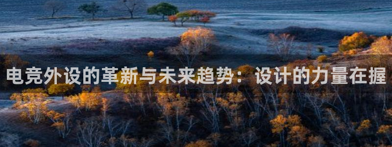 雷火电竞app最新版下载：电竞外设的革新与未来趋势：设计的力量在握